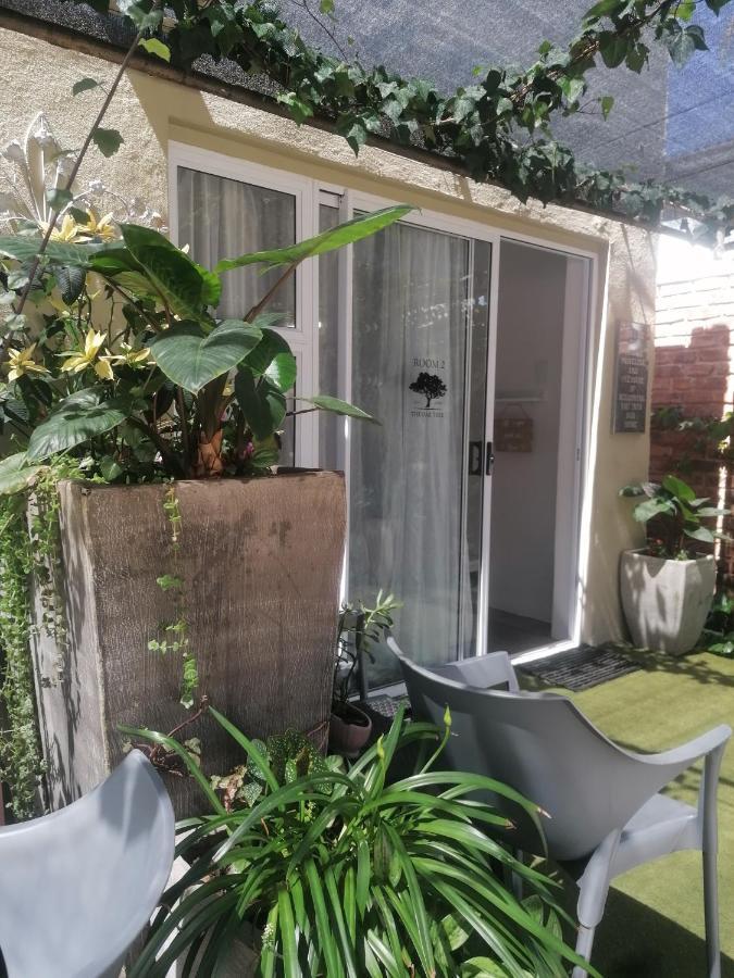 The Oak Treehouse Bnb Queenstown Eksteriør bilde